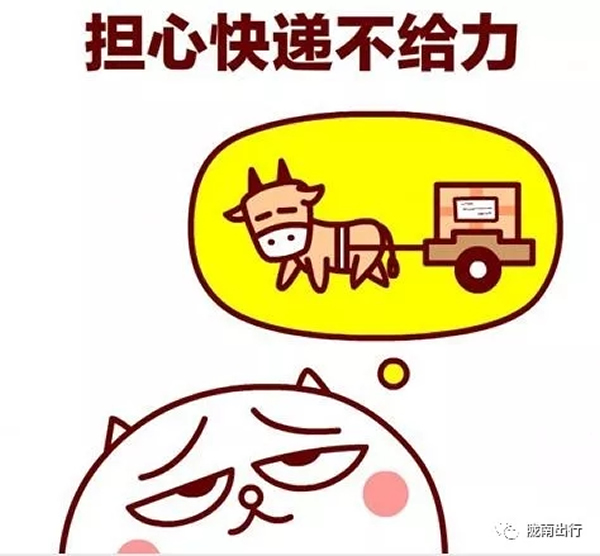 隴運(yùn)集團(tuán)武都汽車站、成縣汽車站、康縣汽車站快運(yùn)